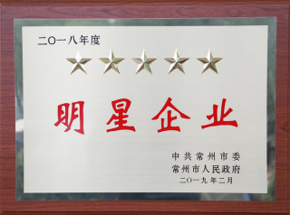 常寶股份榮獲“工業(yè)五星級企業(yè)”、“納稅金獎”等多項大獎156.png